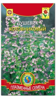 Душевик Котовниковый