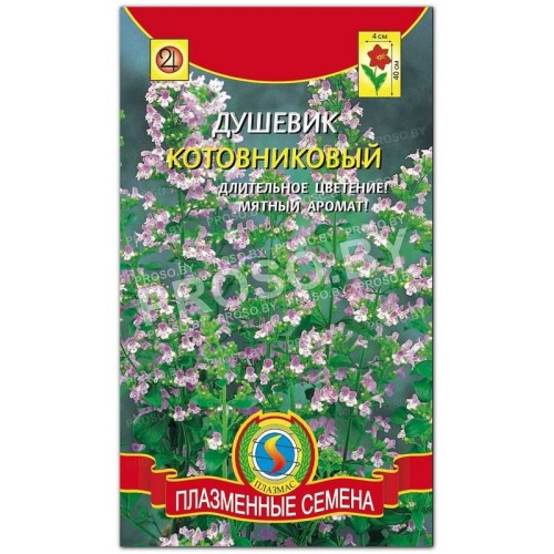 Душевик Котовниковый