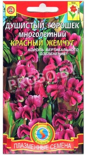 Душистый горошек многолетний Красный жемчуг