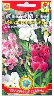 Душистый горошек Многолетняя смесь
