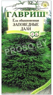 Ель обыкновенная Заповедные дали