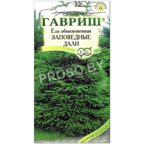 Ель обыкновенная Заповедные дали