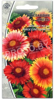 Гайлардия смесь