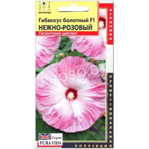 Гибискус болотный Нежно-розовый F1