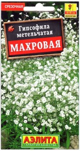 Гипсофила метельчатая Махровая