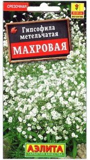 Гипсофила метельчатая Махровая