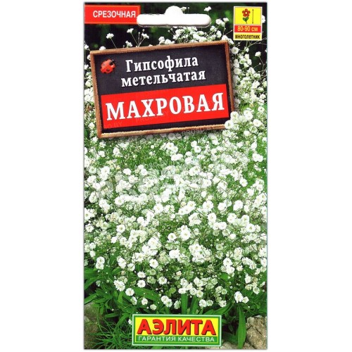 Гипсофила метельчатая Махровая