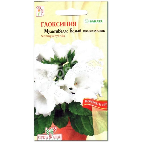Глоксиния МультиБеллс Белый колокольчик