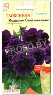 Глоксиния МультиБеллс Синий колокольчик