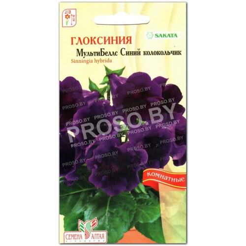 Глоксиния МультиБеллс Синий колокольчик