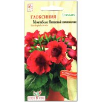Глоксиния МультиБеллс Вишневый колокольчик
