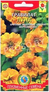 Гравилат Луна