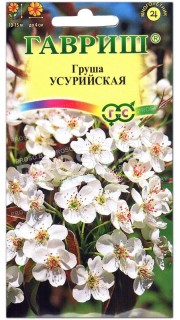 Груша Усурийская