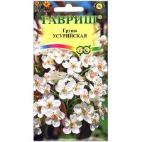 Груша Усурийская