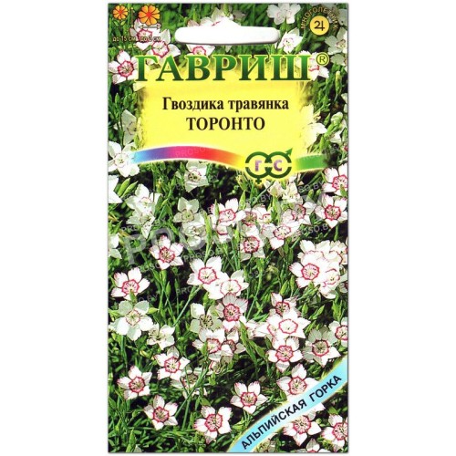 Гвоздика травянка Торонто