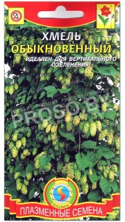 Хмель Обыкновенный