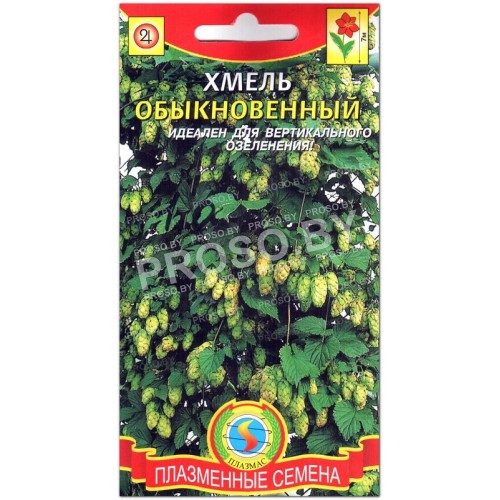 Хмель Обыкновенный