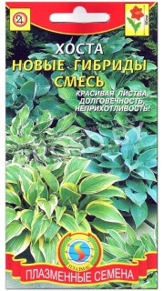 Хоста Новые гибриды, смесь
