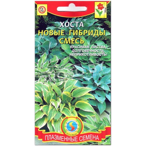 Хоста Новые гибриды, смесь