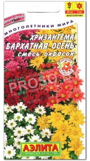 Хризантема Бархатная осень, смесь