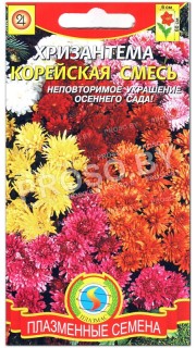 Хризантема Корейская смесь