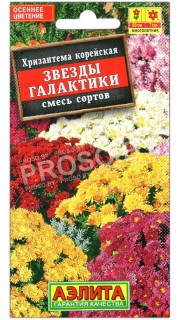 Хризантема корейская Звезды галактики, смесь