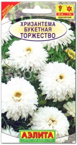 Хризантема Торжество, букетная