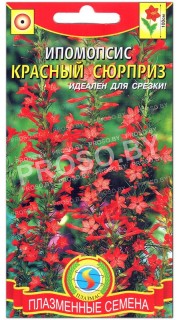 Ипомопсис Красный сюрприз