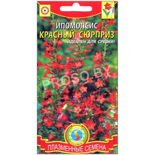 Ипомопсис Красный сюрприз