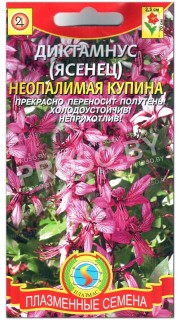 Ясенец (диктамнус) Неопалимая купина
