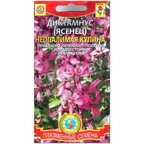 Ясенец (диктамнус) Неопалимая купина