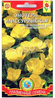 Энотера Миссурийская