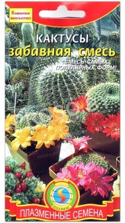 Кактусы Забавная смесь