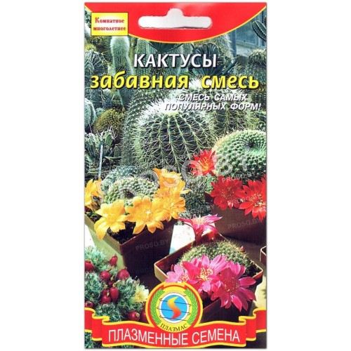 Кактусы Забавная смесь