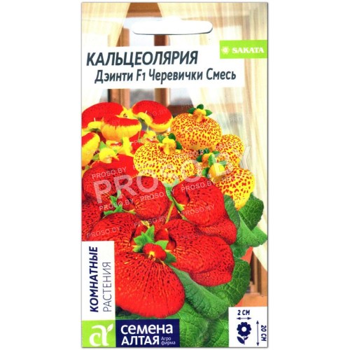 Кальцеолярия Дэинти Черевички смесь F1