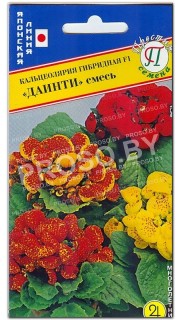 Кальцеолярия Смесь F1, серия Даинти