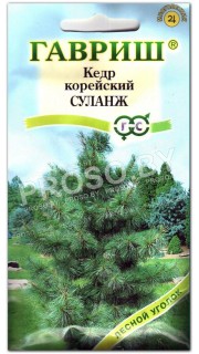 Кедр корейский Суланж