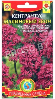 Кентрантус Малиновый звон