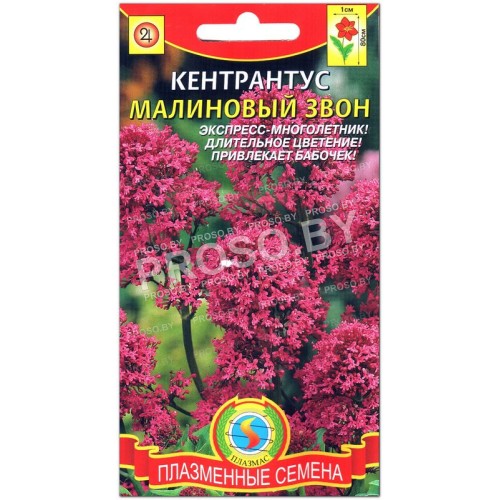 Кентрантус Малиновый звон