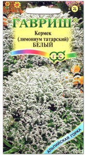 Кермек (лимониум татарский) Белый