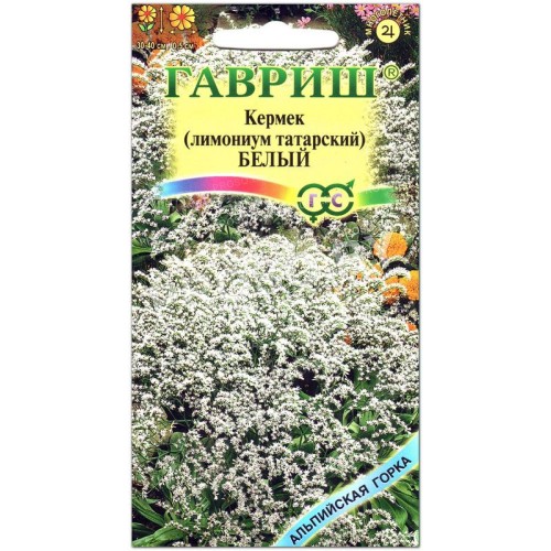 Кермек (лимониум татарский) Белый