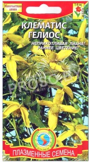 Клематис Гелиос
