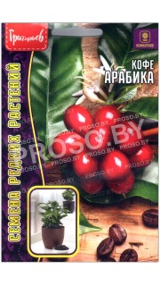 Кофе Арабика
