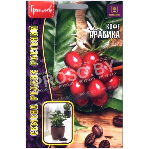 Кофе Арабика