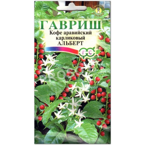 Кофе аравийский Альберт