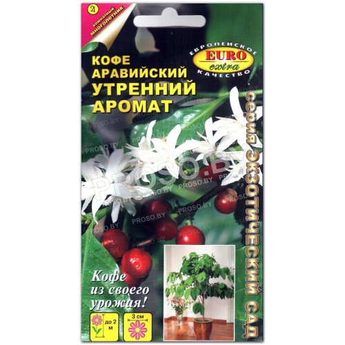 Кофе Утренний аромат, аравийский