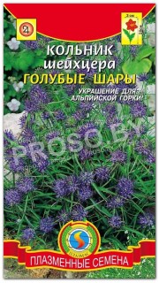 Кольник Шейхцера Голубые шары