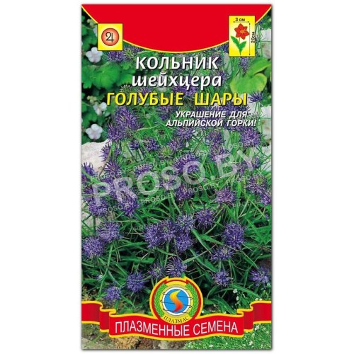 Кольник Шейхцера Голубые шары