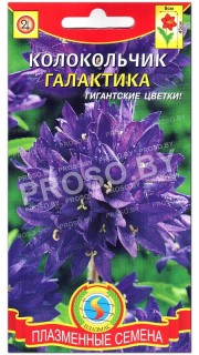 Колокольчик Галактика