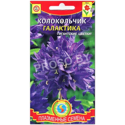 Колокольчик Галактика